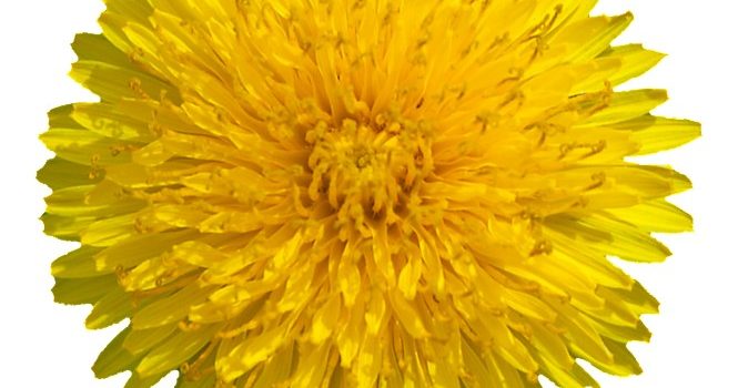 un accueil généreux