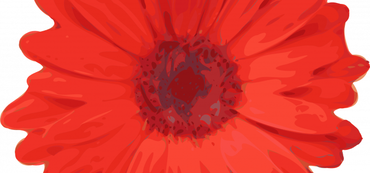 un lieu apaisant et magique