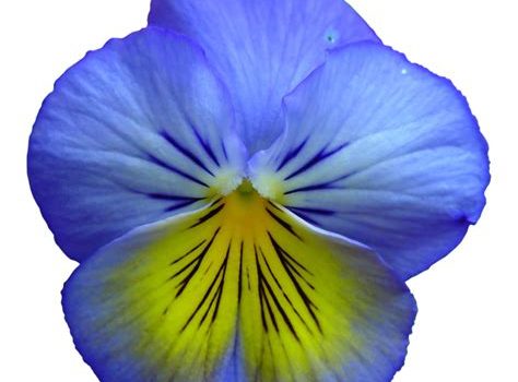 Cérémonie chamanique: une soirée puissante au centre de la yourte une soirée puissante