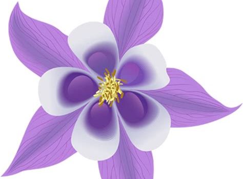 La soirée chamanique: Quelle expérience intérieure ! quelle expérience intérieure