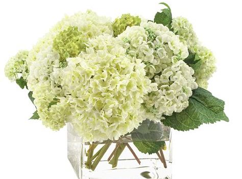 Ces soirées sont devenues indispensables pour moi ! ces soirées sont devenues indispensables