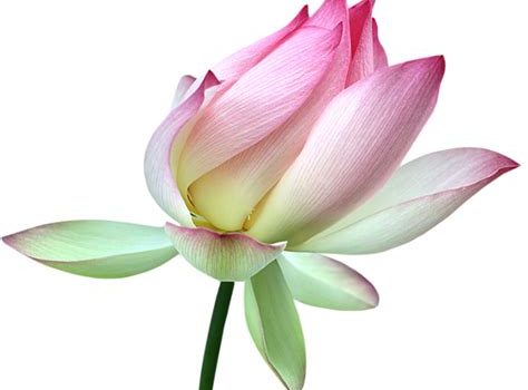 cérémonie d'équinoxe